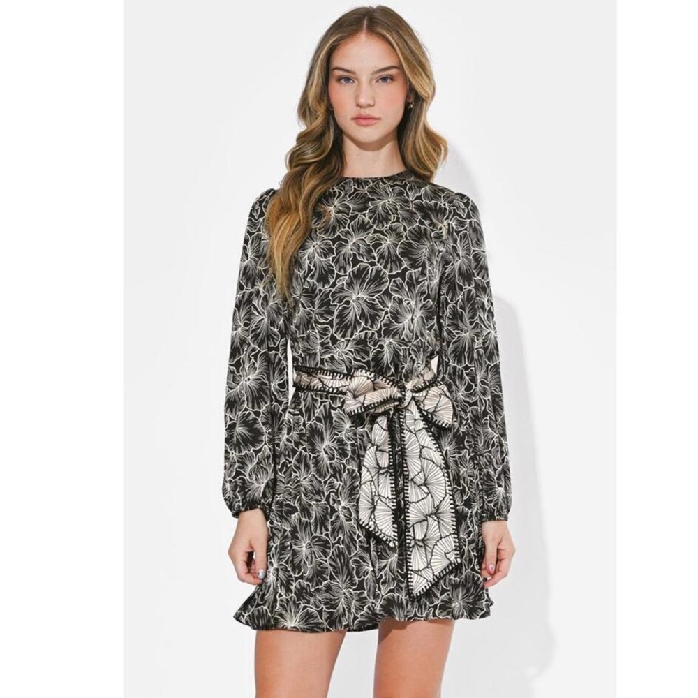Sasha Pleated Long Sleeve Mini Dress‎